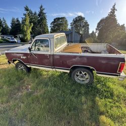 1981 Dodge Ram 150