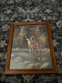 Deer wildlife art