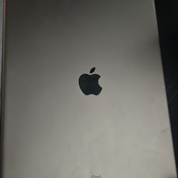 iPad Pro 2nd Gen 12.9 Inch 256gb 