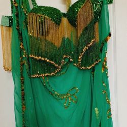 Halloween Costume/ Egyptian Bellydancing Outfit