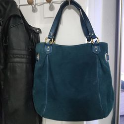Large And Sexy Velvet Coach Purse 