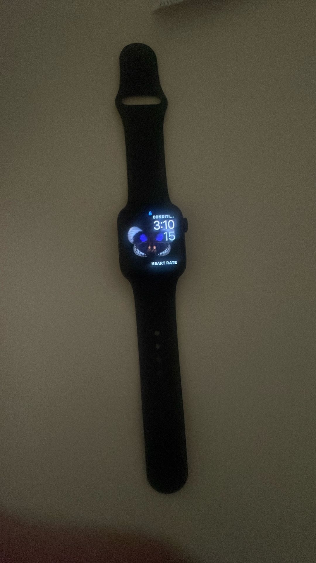 Apple watch