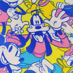 Disney Mickey Mouse Minnie Scrub Top Plus Size 3X Donald Duck Goofy Daisy Excellent Condition PRICE Is Firm Cash Only 