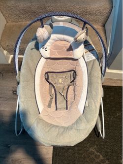 Baby Bouncer