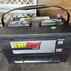 EverStart Plus Lead Acid Car Battery, Group Size 65 12 Volt, 750 CCA batteria