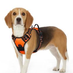 Eagloo Dog Harness Small Sized Dog, 