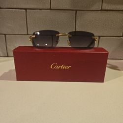 RIMLESS/BUFFALO HORN MODELS