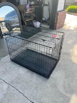 Large dog crate