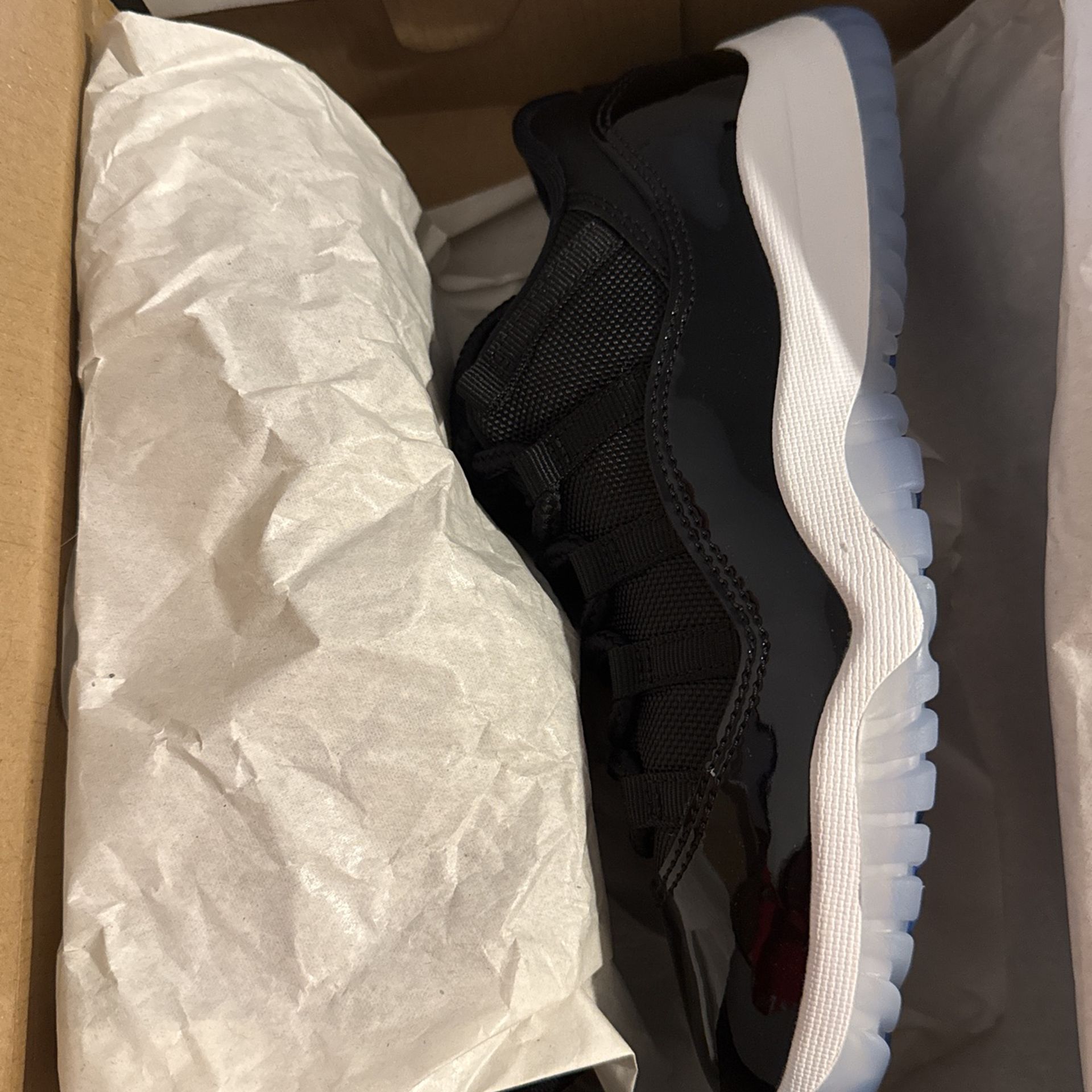 Jordan 11 Retro Low