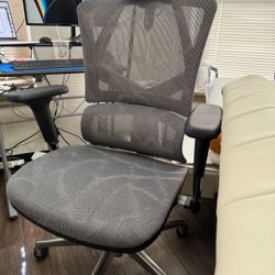 Nearly New Ergonomics Office Chair