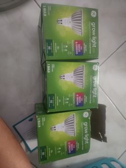 Hydroponic Bulbs