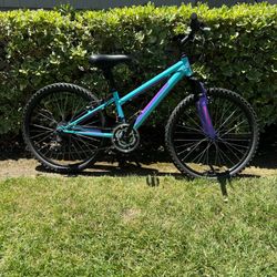 Nishiki Pueblo 24" youth mountain bike