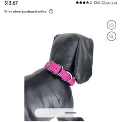 Vibrant Life Large Dog Collar, Pink And Gray 