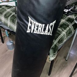 Everlast Punching Bag