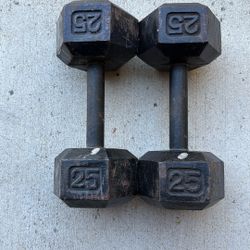 50 Pound Dumbbells 