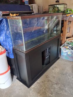 55-gallon tank and stand only