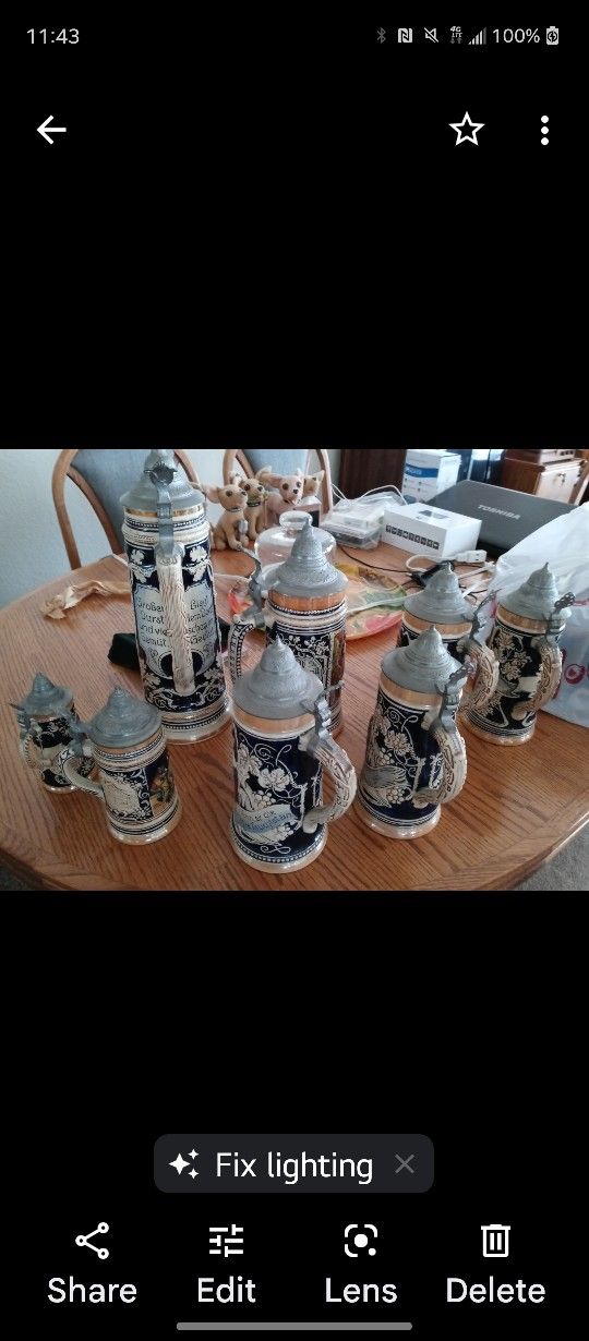 Old Beer Steins