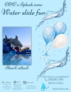 Shark water slide