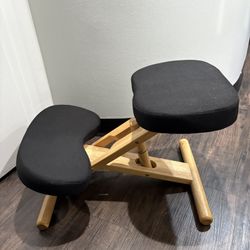 Ergonomic Chair