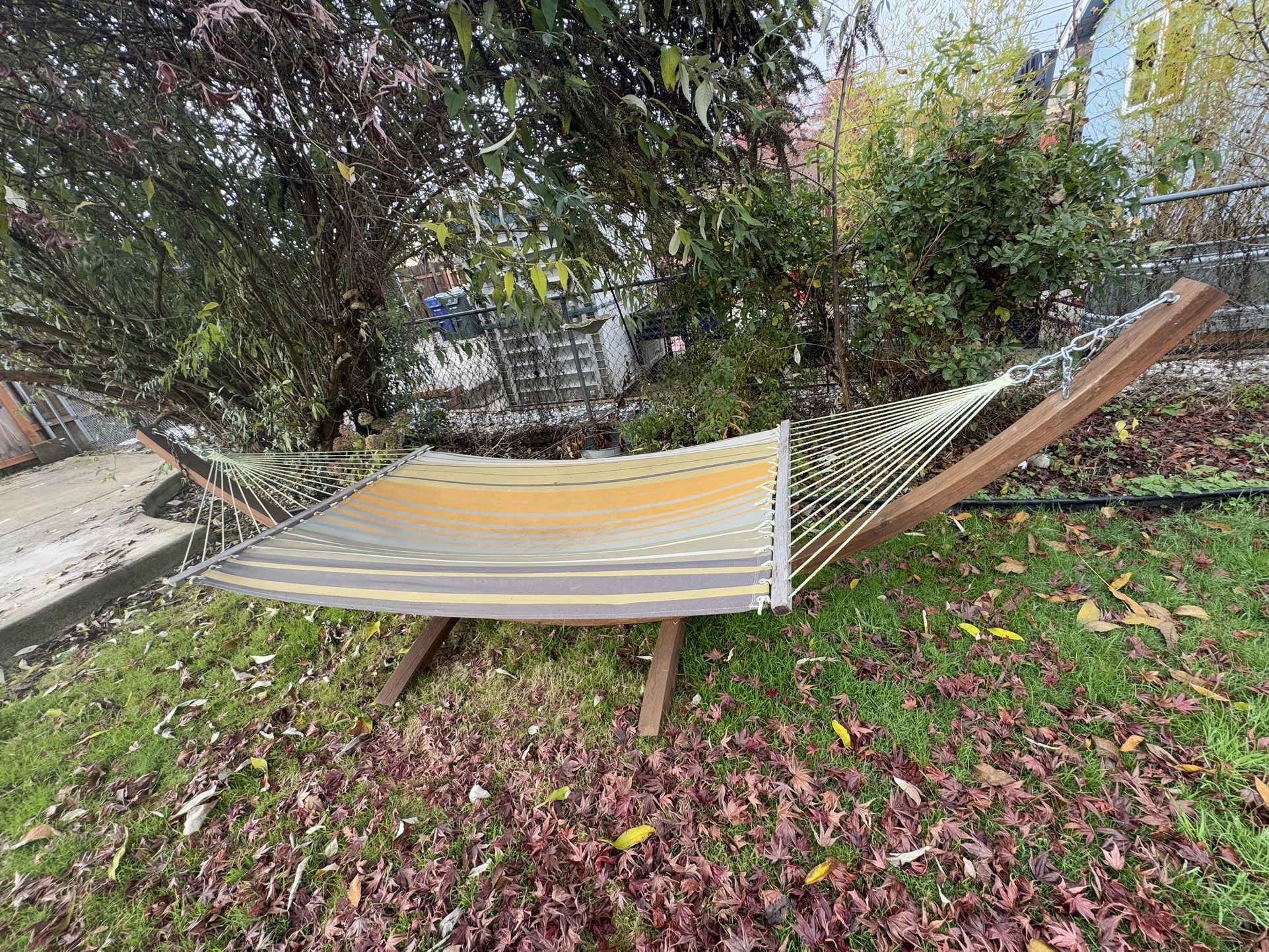 Hammock