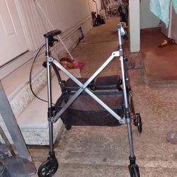 Mobility Walker 