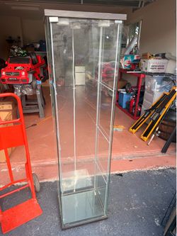 Glass Case with shelves and lights ** FREE**