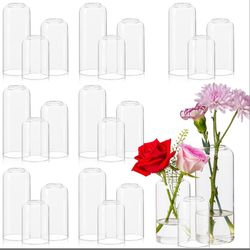 Glass bud vases (24 pack)