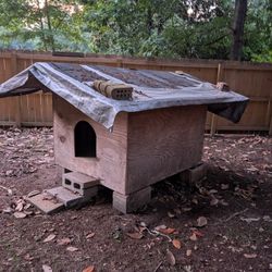 Solid Dog House