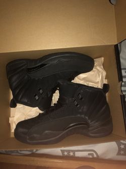 Jordan 12 winter