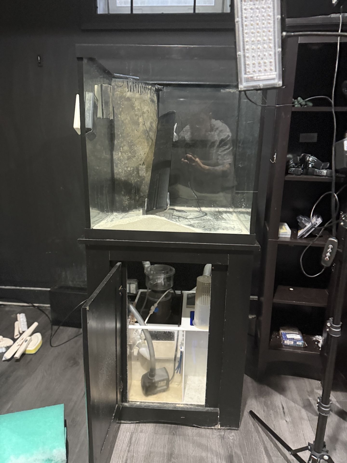 saltwater fish tank