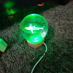 Color Changing Shark Crystal Ball Night Light