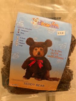 Halloween costume bear pet