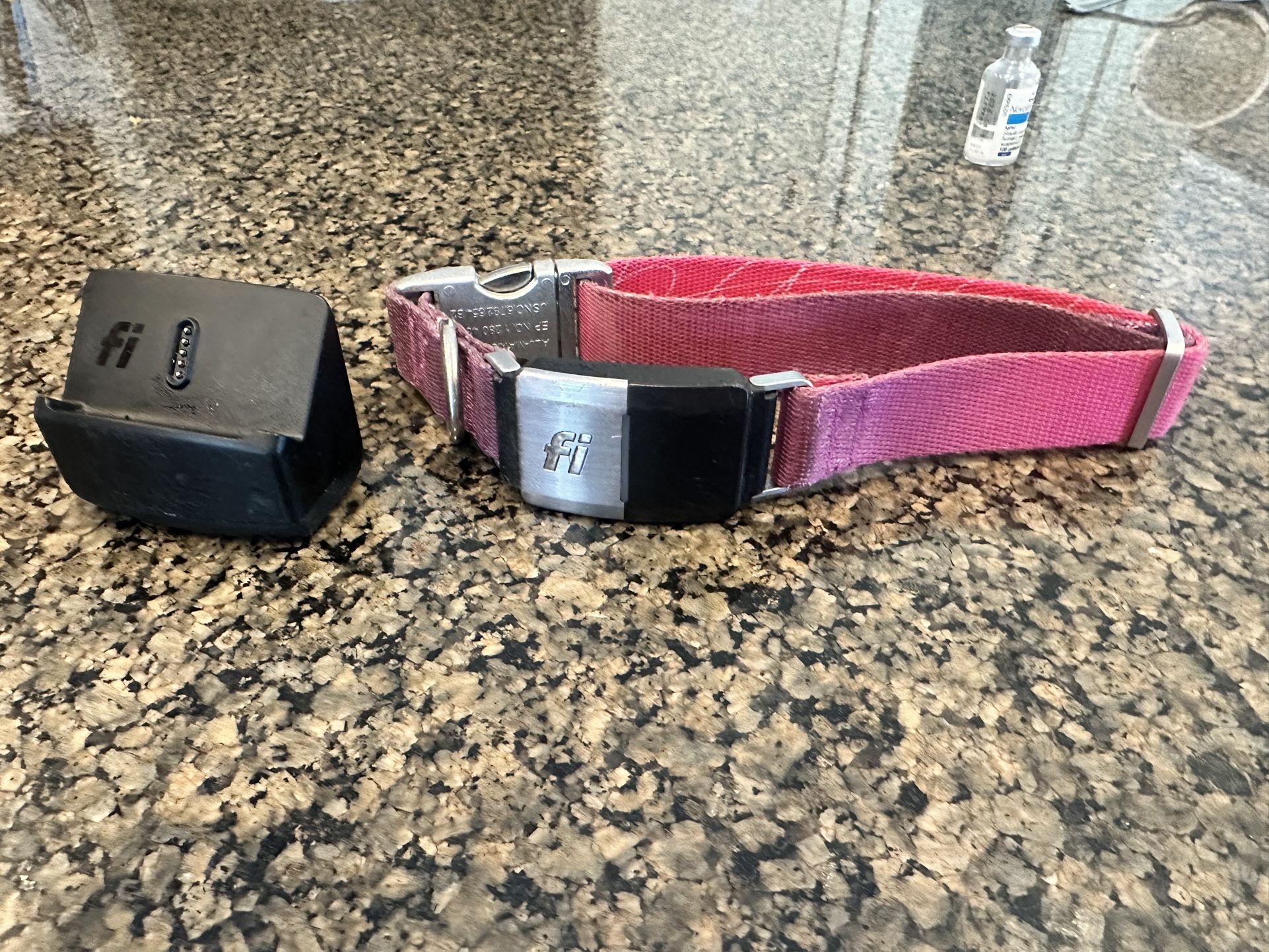 FI GPS Dog Collar - Series 2