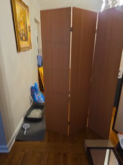 Room deviders (two for $50.00) 48" each X 70" high