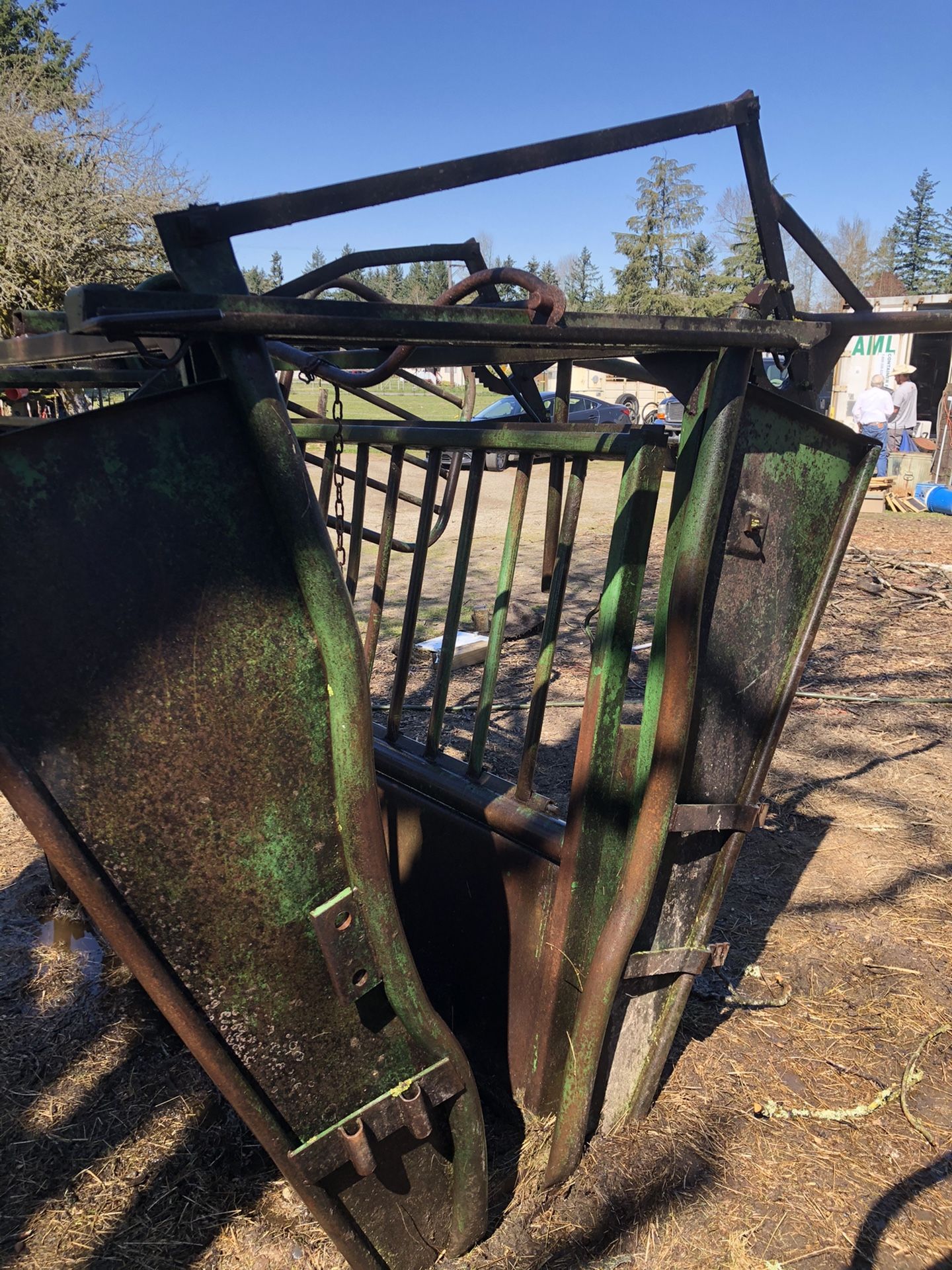 Cattle Chute