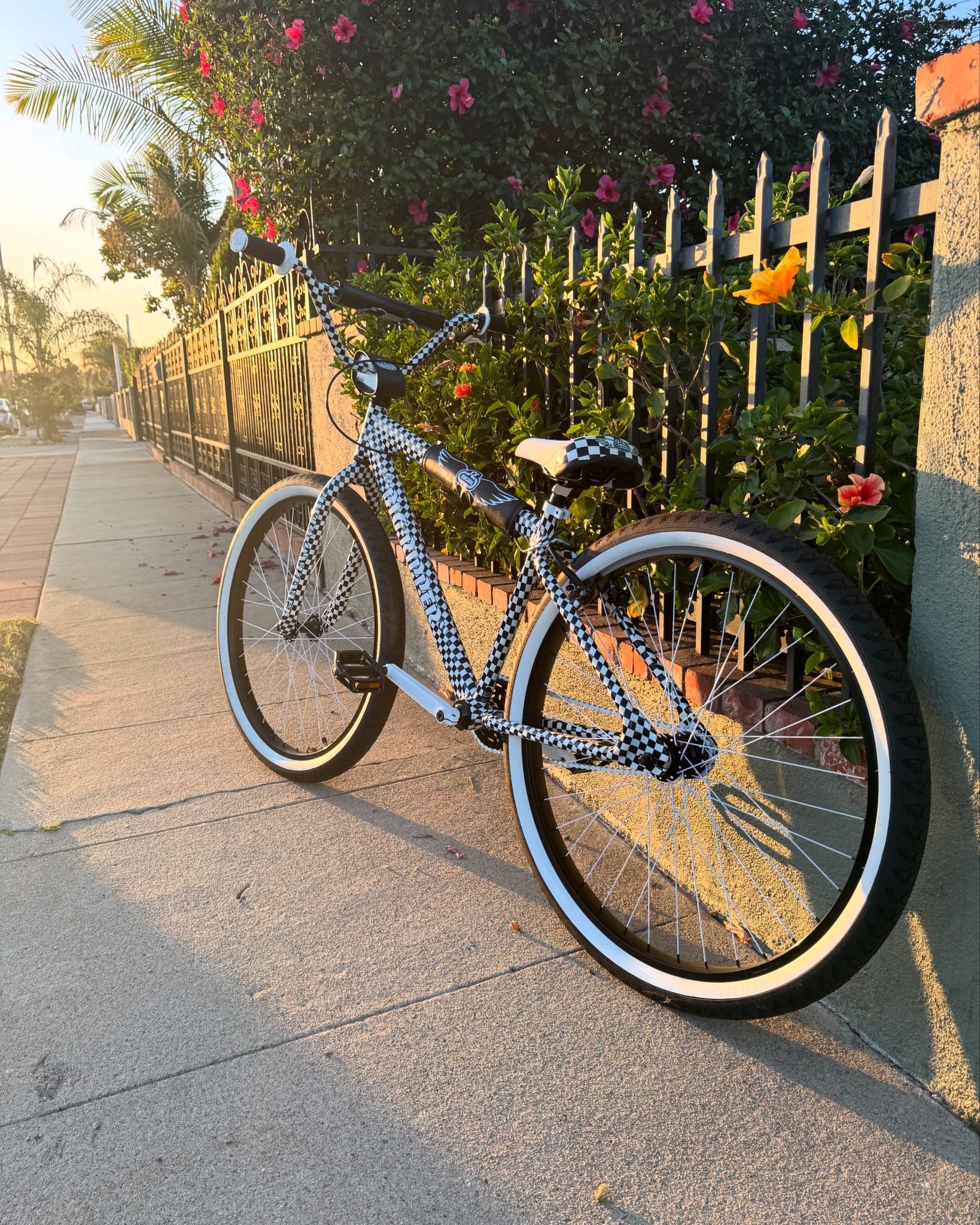 Se 29” Bike 
