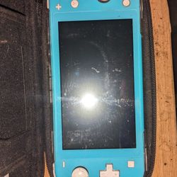 Switch Lite With Case