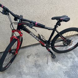 Giant Bike