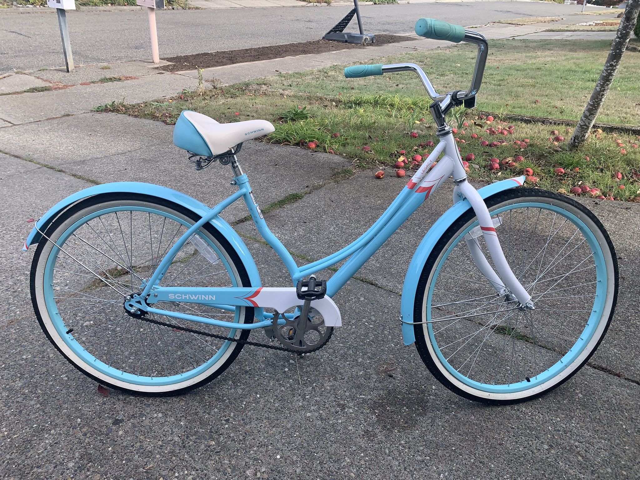 Cruiser Bicycle