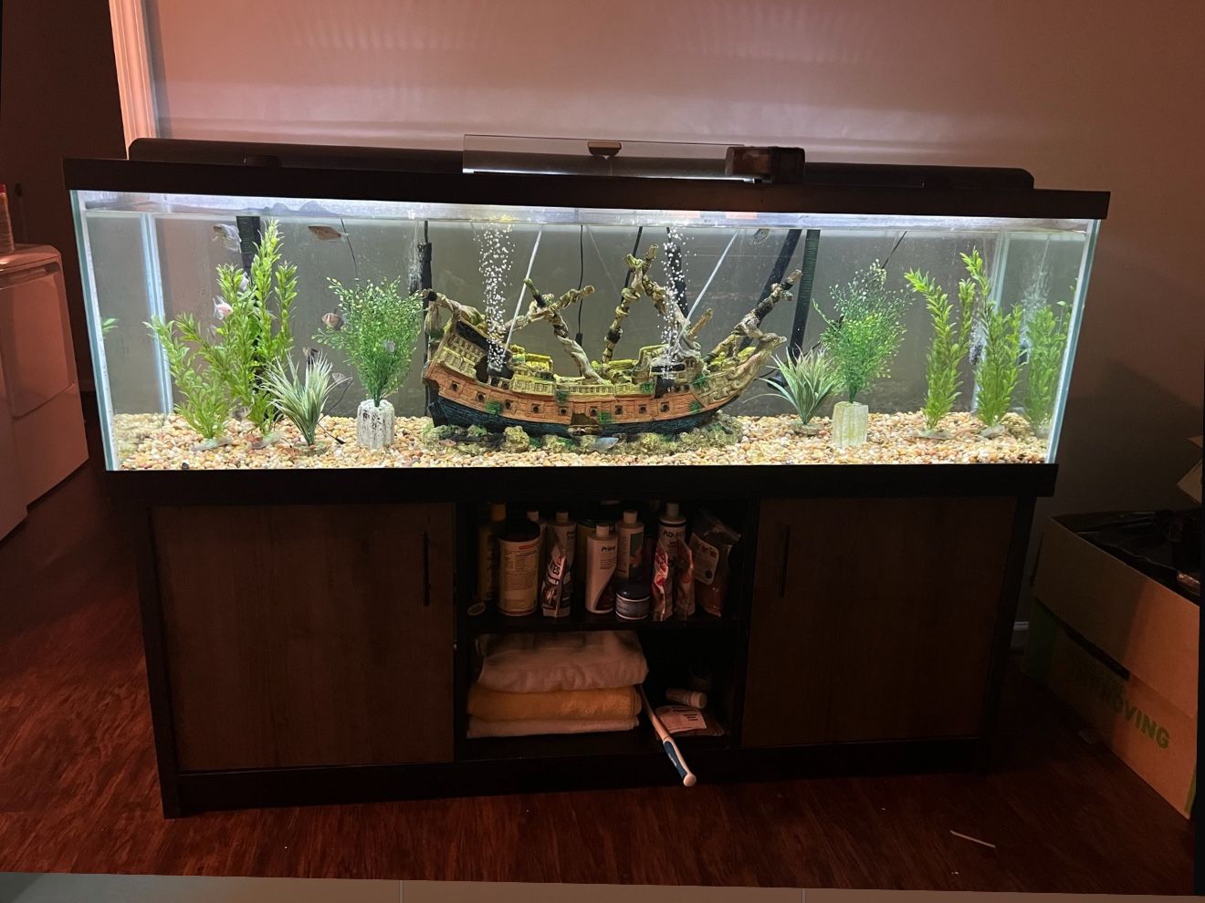 125 Gallon 6 Foot Aquarium