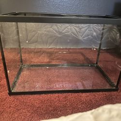 Fishtank 