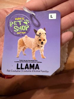 Dog costume