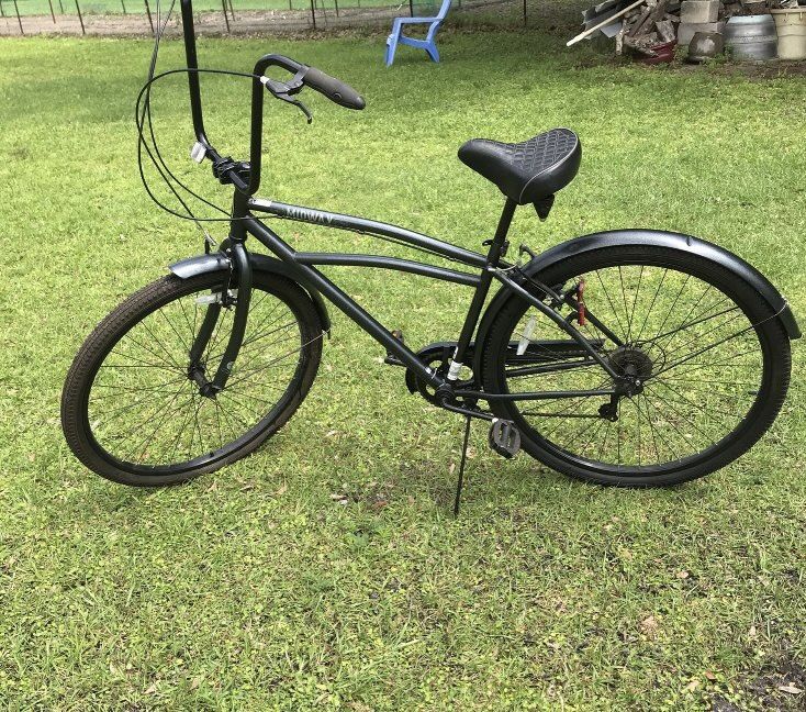 Schwinn Cruiser Bicycle