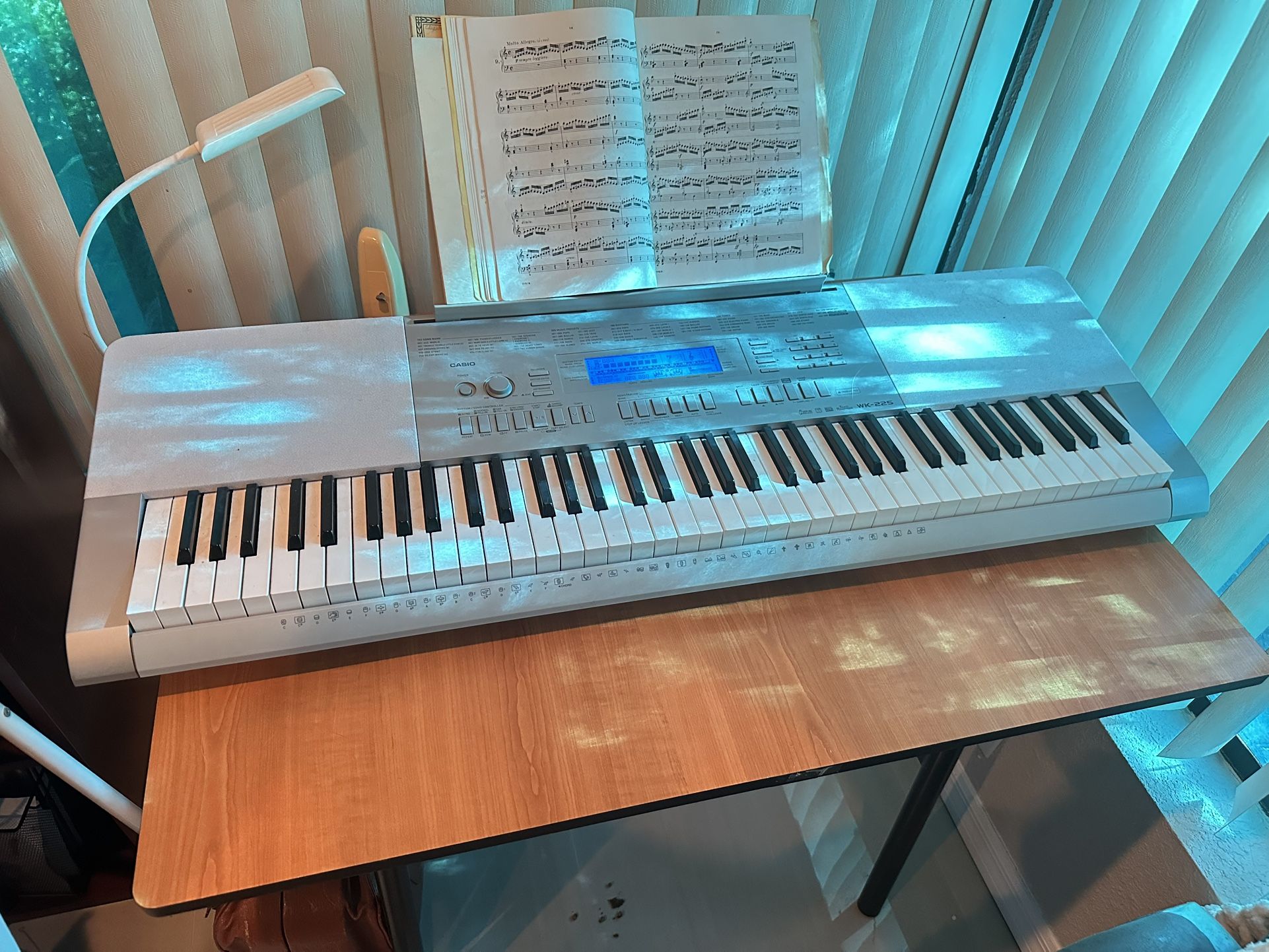 Casio WK 225 Electric Piano