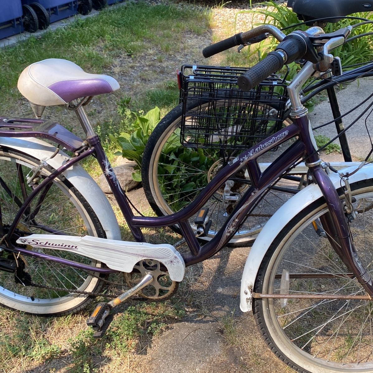 Schwinn lakeshore online women's cruiser bike
