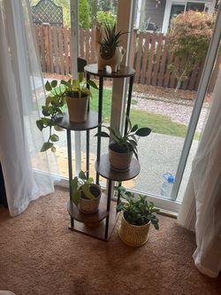 4-Tier Metal and Wood Plant Stand