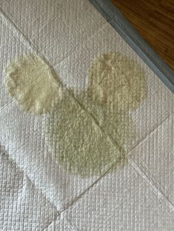 my Dog Took A Mickey Mouse Piss