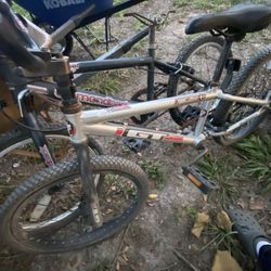 Gt Mach 1 Expert/dimondback viper 