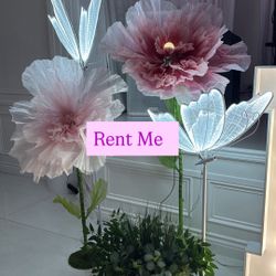 Giant Flowers and LED butterfly Lights 