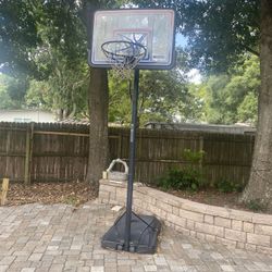 12 Ft 